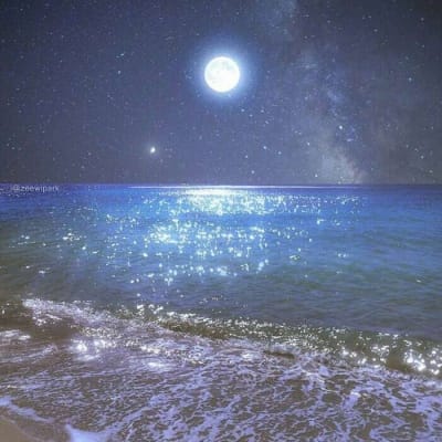 علی رضا avatar